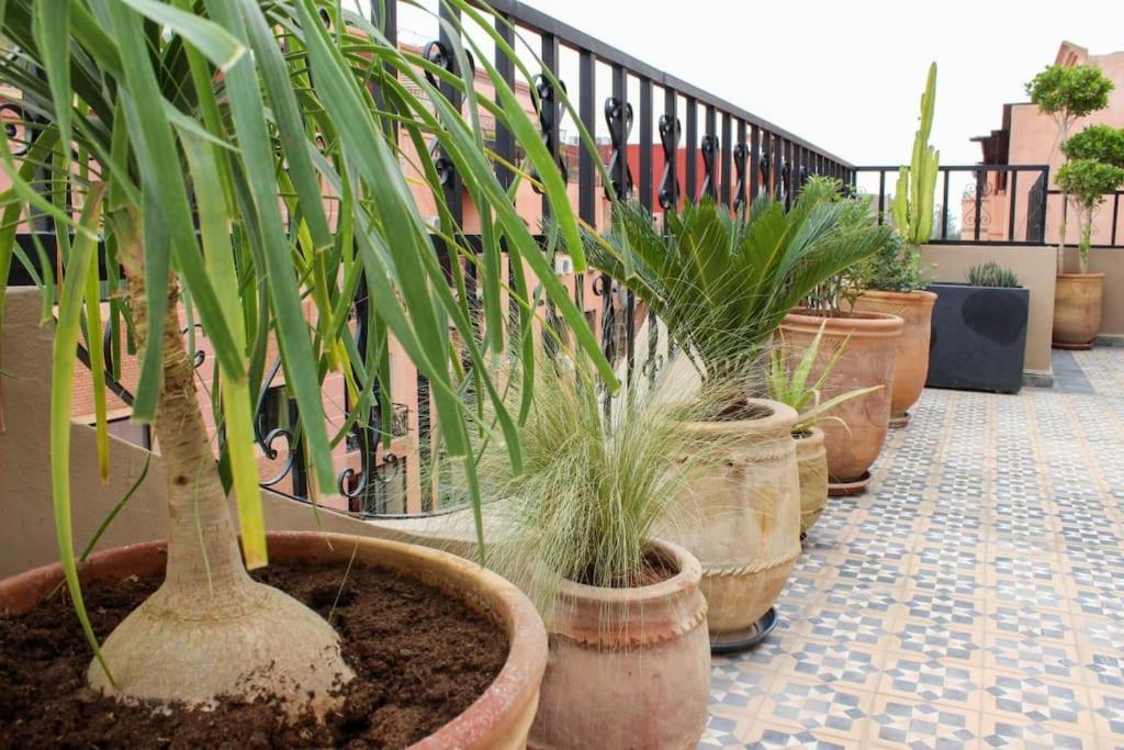 Dar Nouonsa Leilighet Marrakesh Eksteriør bilde
